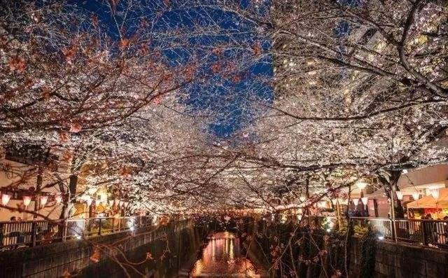 Sakuranomiya Hotel Osaka Buitenkant foto